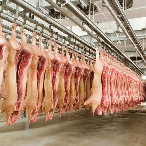 Meat Processing 0000 AdobeStock 51771679