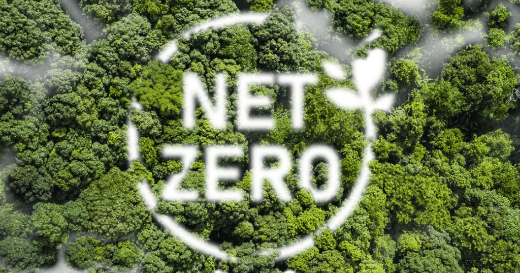The Breakdown of Net Zero – Part 2