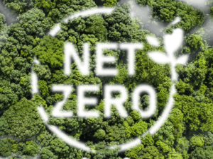The breakdown of Net Zero from Dawsongroup finance