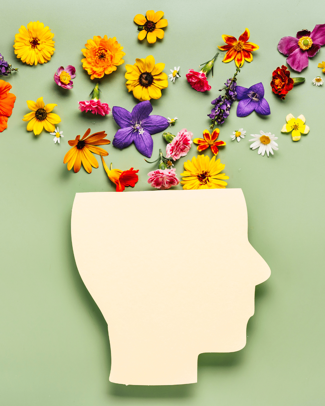 A silhouette of a head with flowers immerging from the top; reflecting the importance mental health first aiders in the workplace.